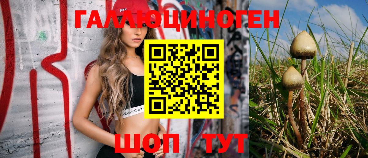 Галлюциногенные грибы Magic Shrooms  Вход с VPN  Ялта 